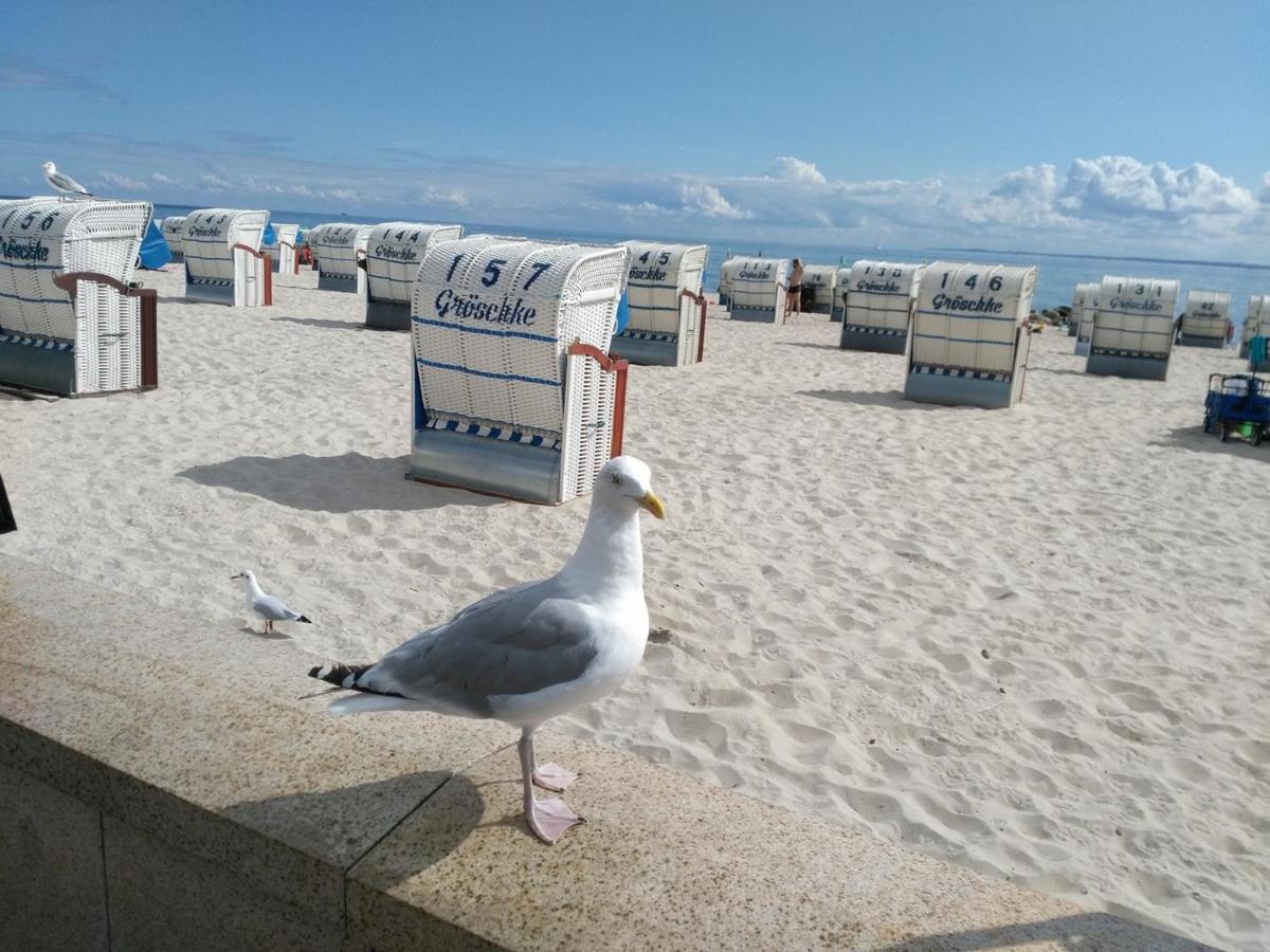 Ostsee Fewo By Wolf Grömitz Esterno foto